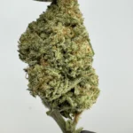 Papaya 26.4% THCA