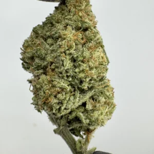Papaya 26.4% THCA