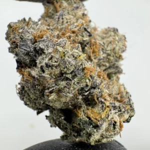 Animal Cookies X LCG 30.7% THCA