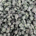 Animal Cookies X LCG Smalls