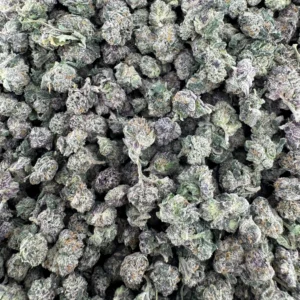 Animal Cookies X LCG Smalls
