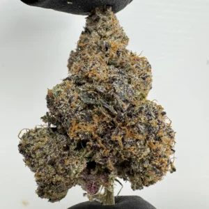 Blueberry 30.9% THCA