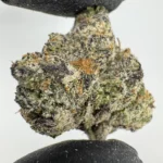 Blue Nerdz 29.9% THCA