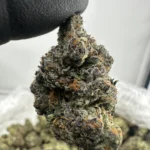 Crunch Berry 29.3% THCA