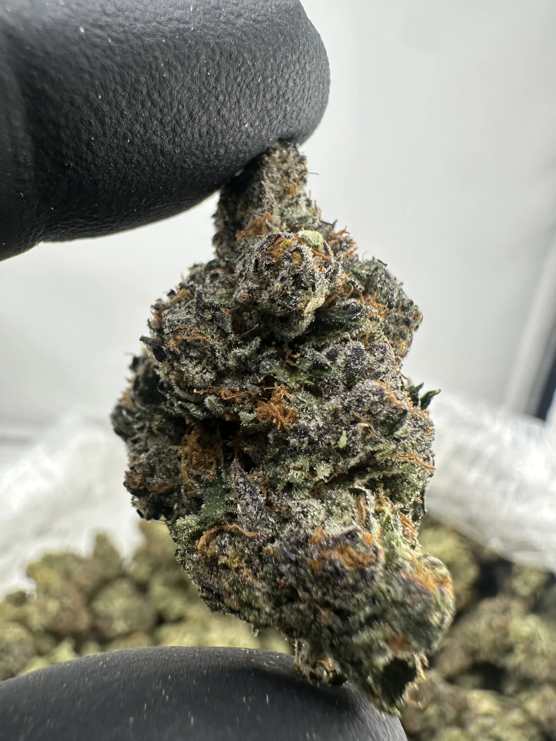 Crunch Berry 29.3% THCA