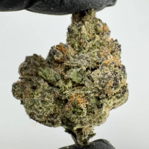 Gelato 33 28.9% THCA