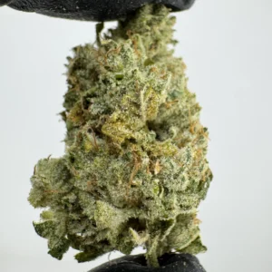 Gorilla Glue 29.9% THCA
