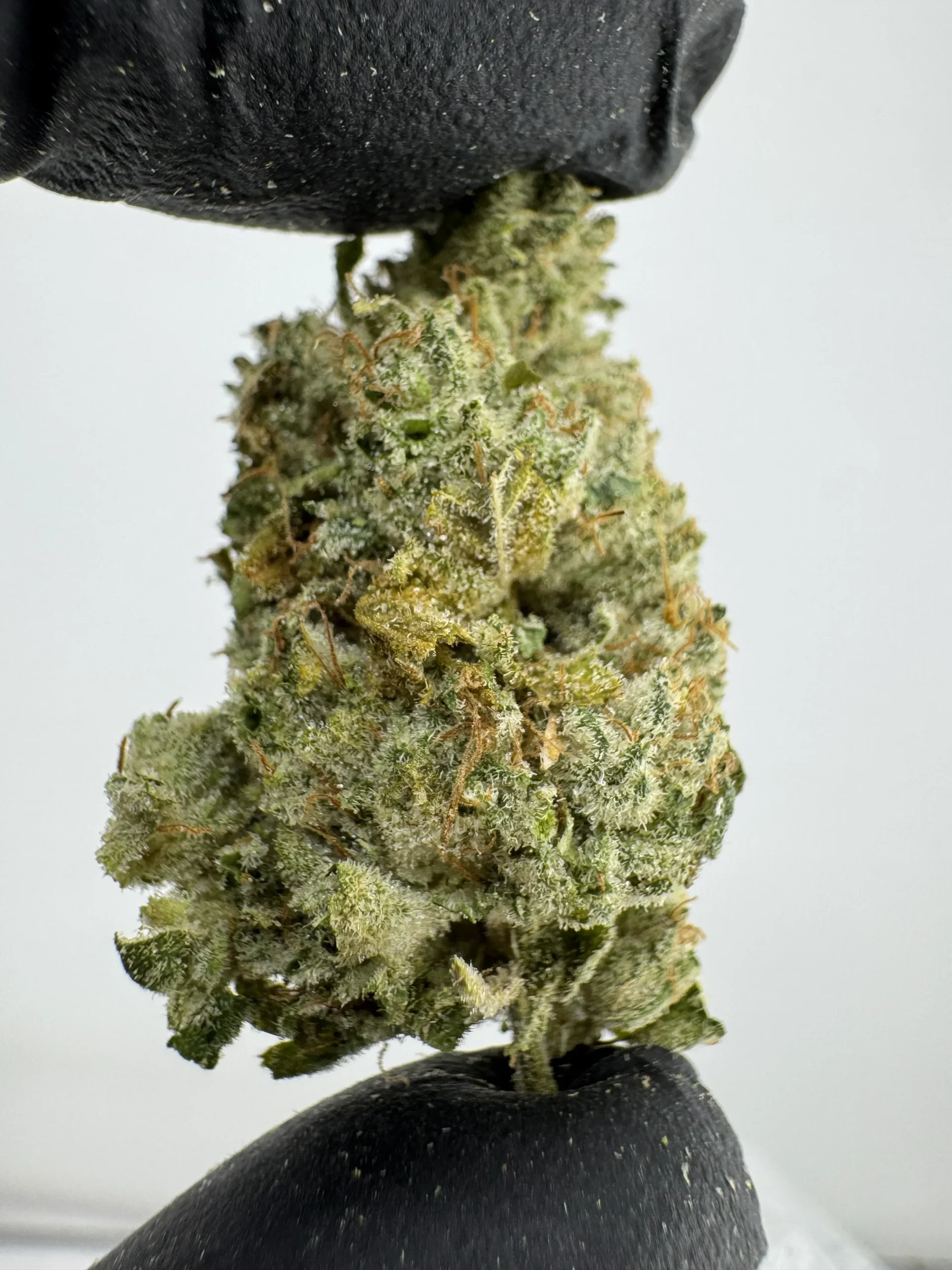 Gorilla Glue 29.9% THCA