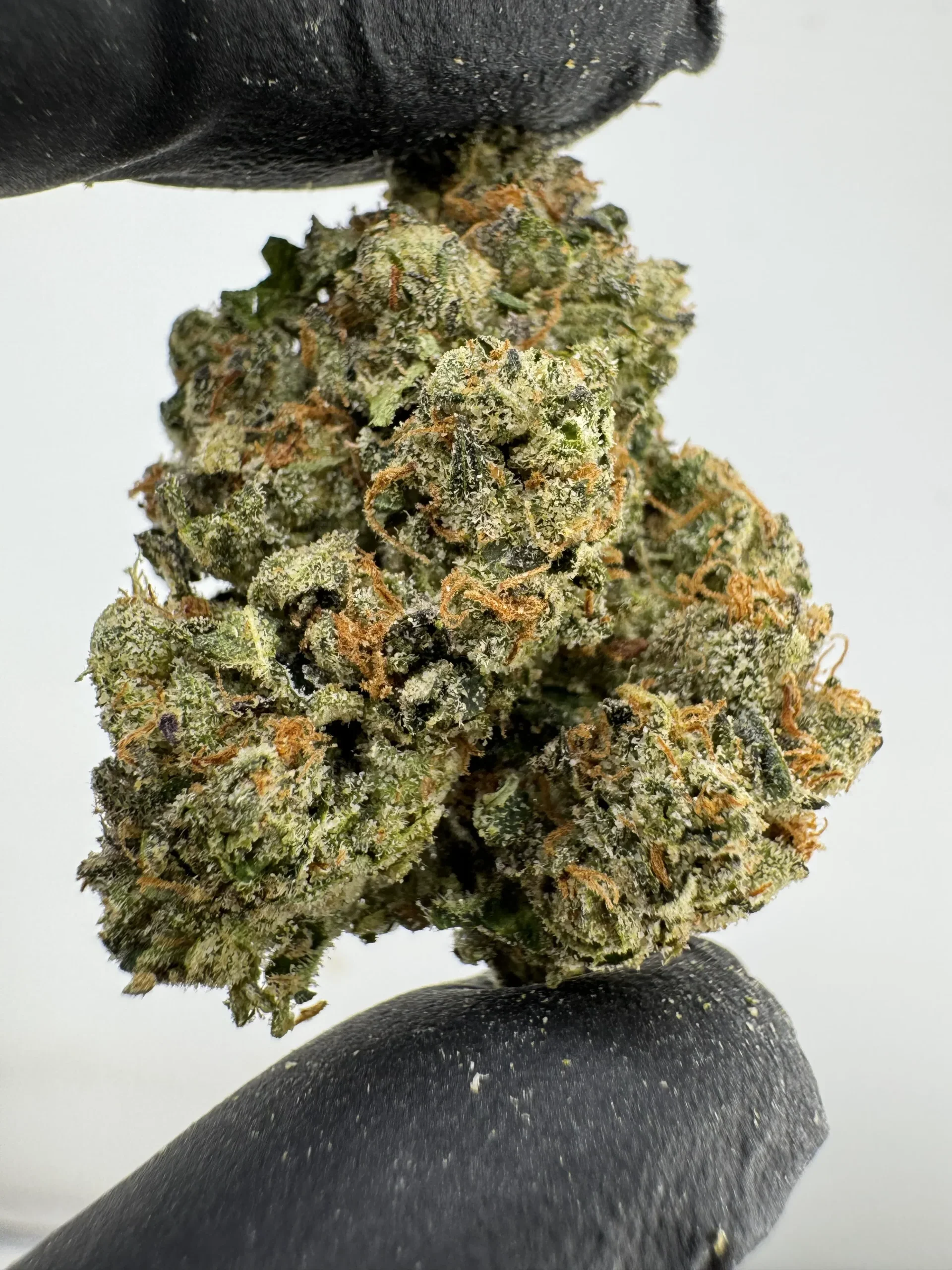 Heir Heads 28.5% THCA