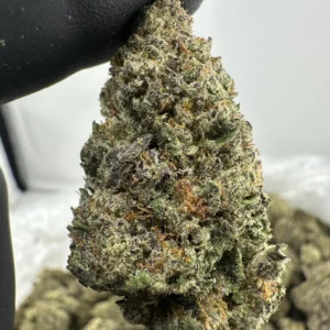 Pluto XE85 28.2% THCa
