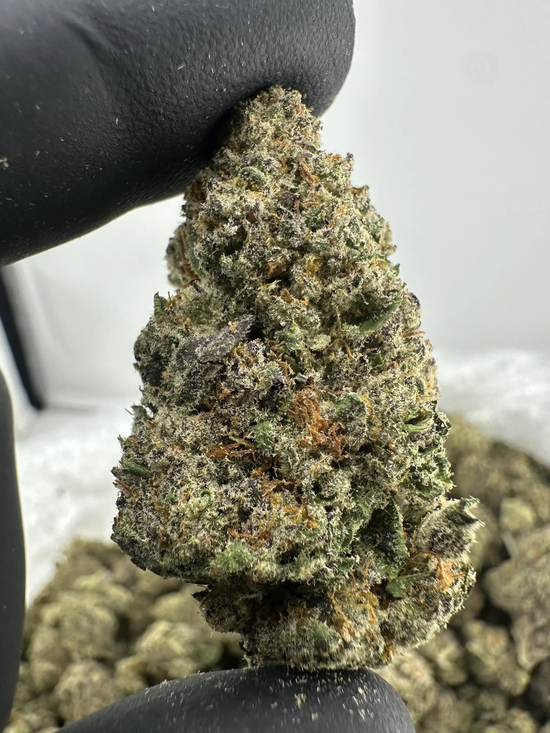Pluto XE85 28.2% THCa