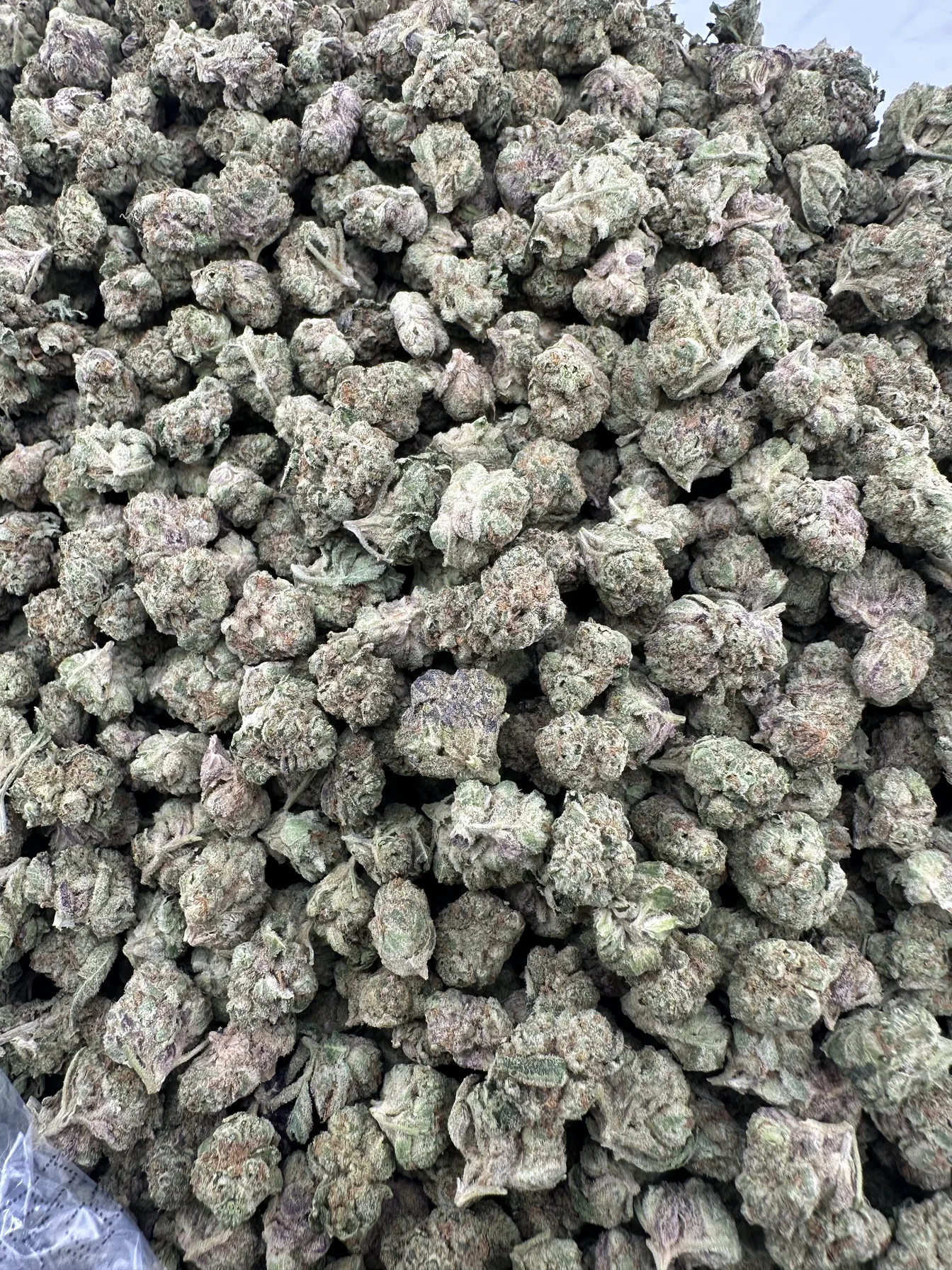 Wedding Cake Smalls