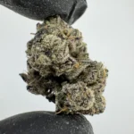 Zereal 30.1% THCA