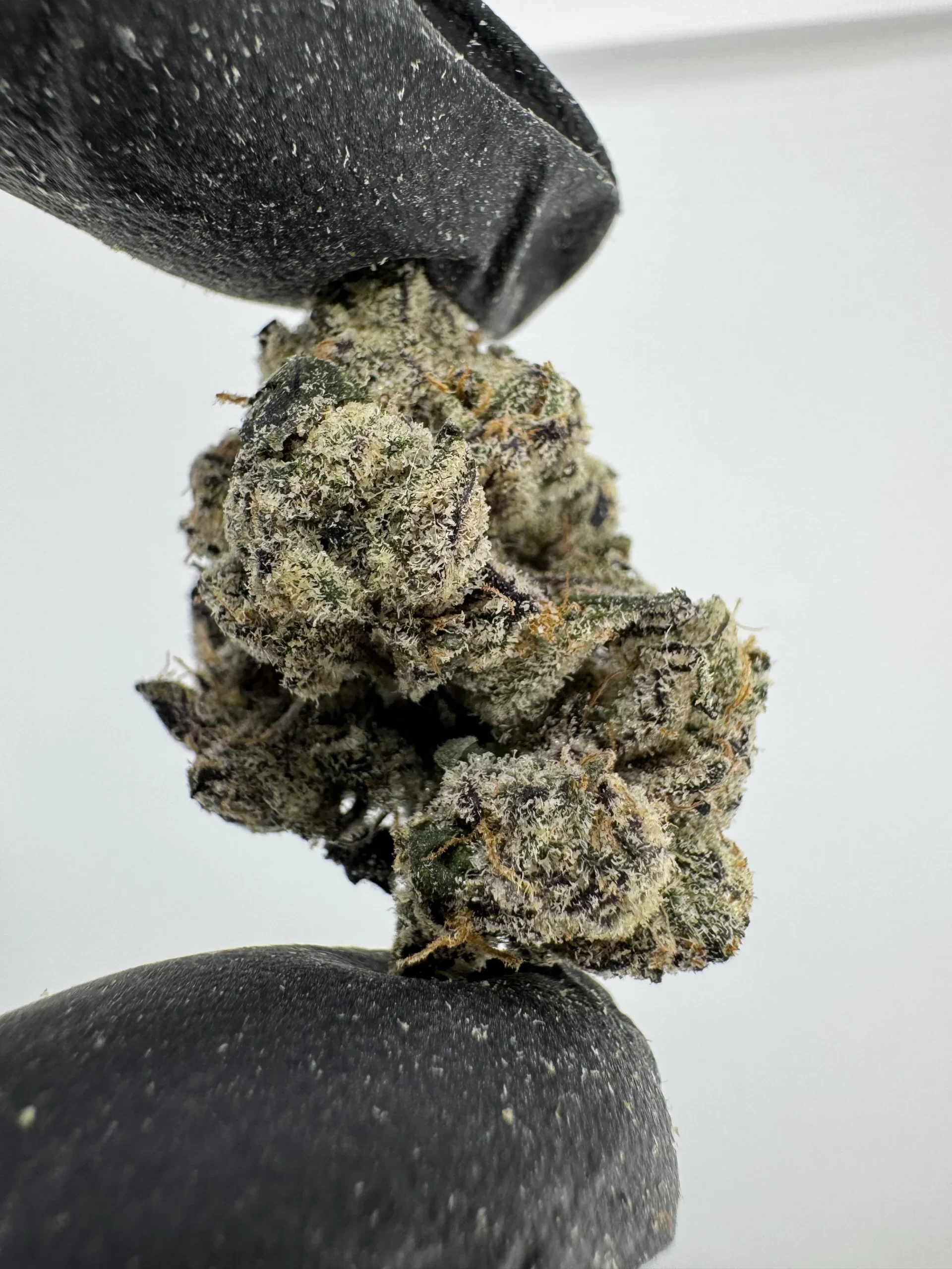 Zereal 30.1% THCA