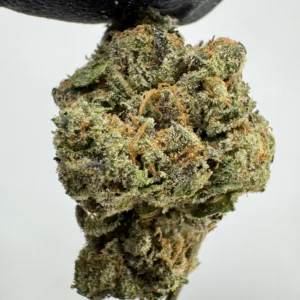 Black Cherry Soda X Lemon Thai 30.2% THCA