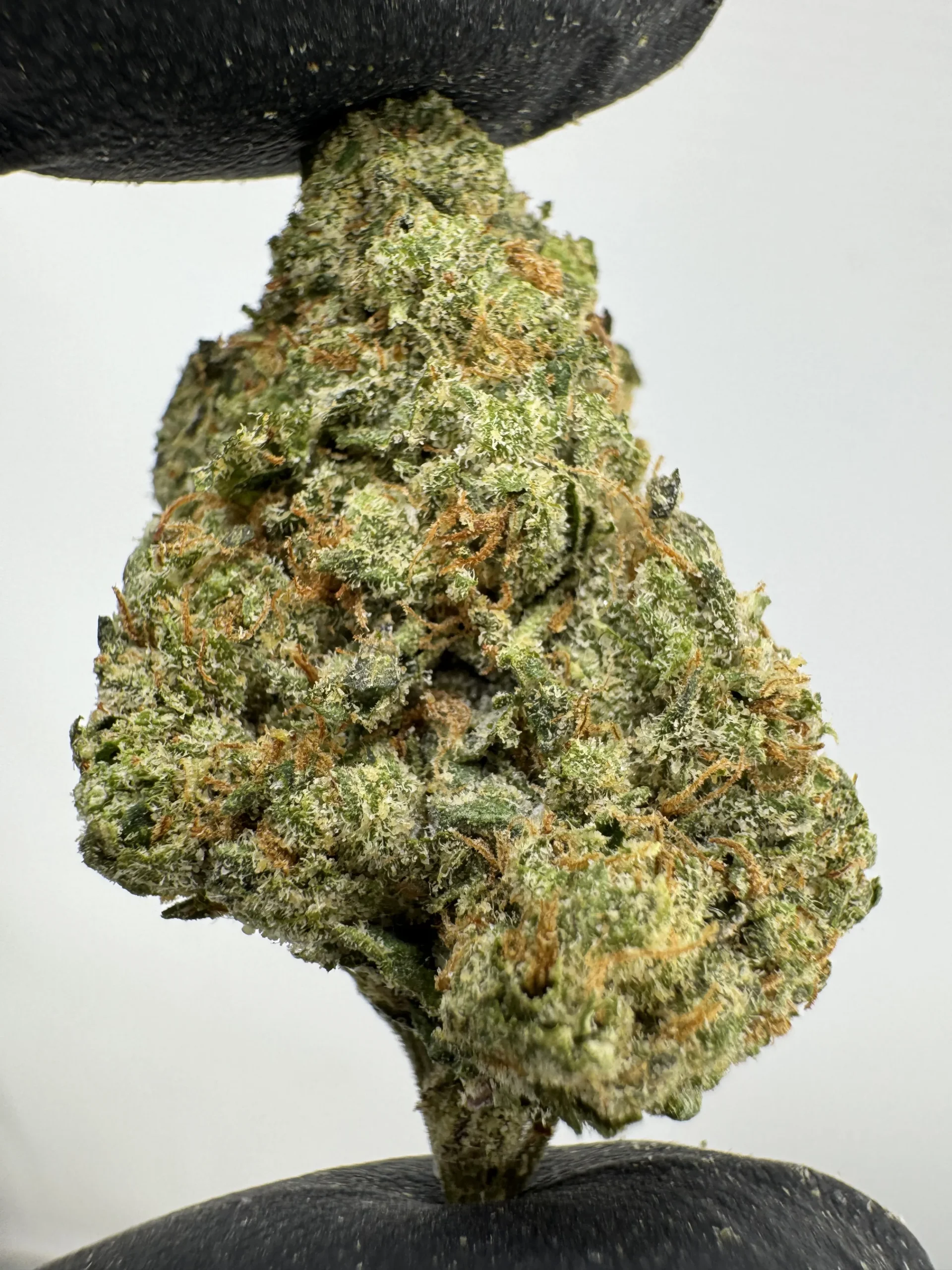 Blue Andeze 28.8% THCA