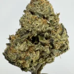 Chem x OG 29.7% THCA