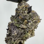 Cherry Pie 30.9% THCA