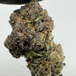 Crunch Berry 29.3% THCA