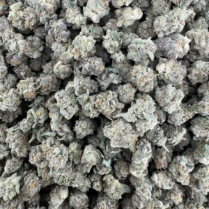 Nimbus Smack Smalls
