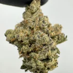 OG X Chem 30.0% THCA