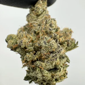 OG X Chem 30.0% THCA