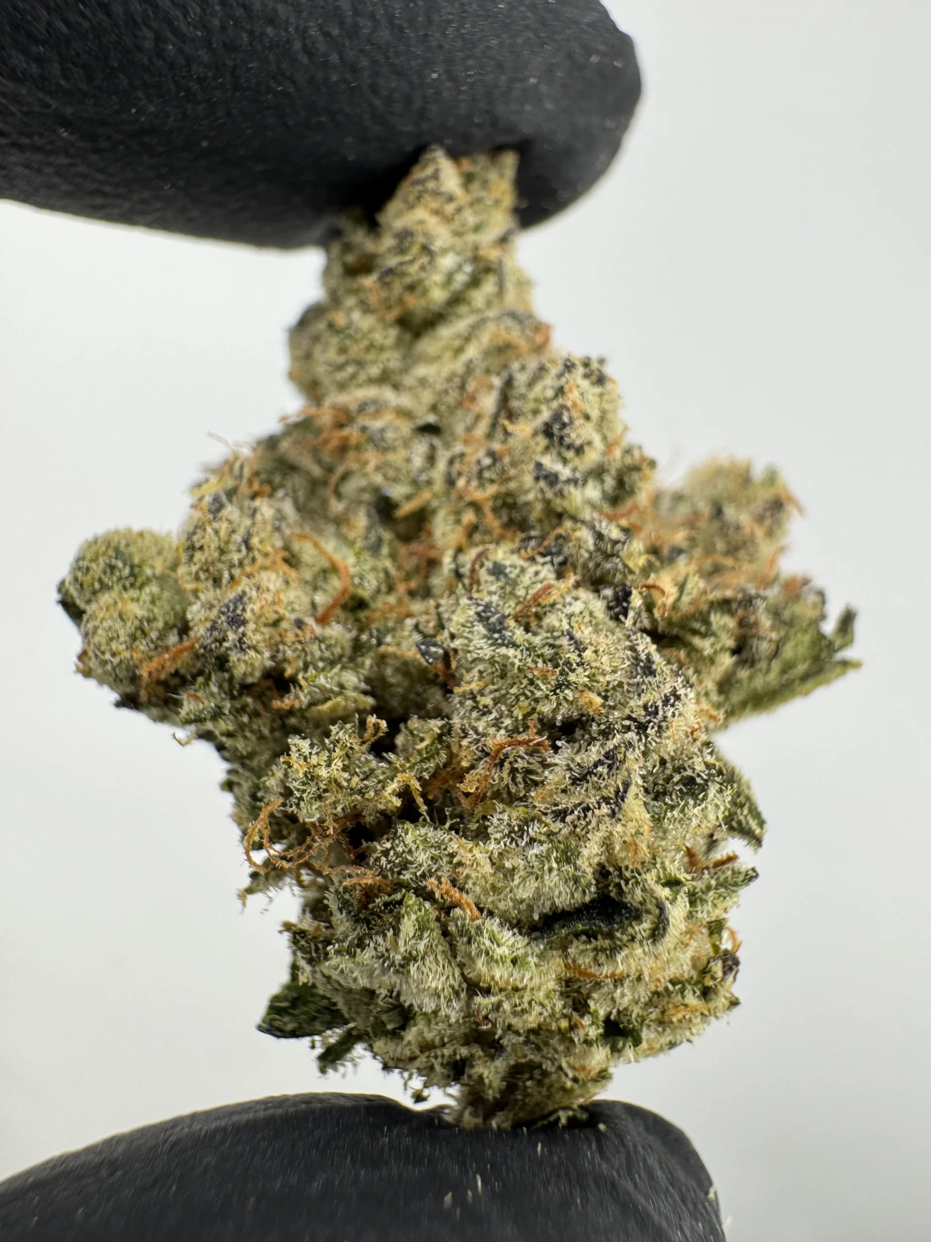 OG X Chem 30.0% THCA