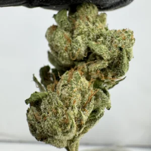 SFV OG 28.9% THCA