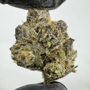 Tangie Belts 30.1% THCA