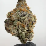 Gelonade 30.7% THCA