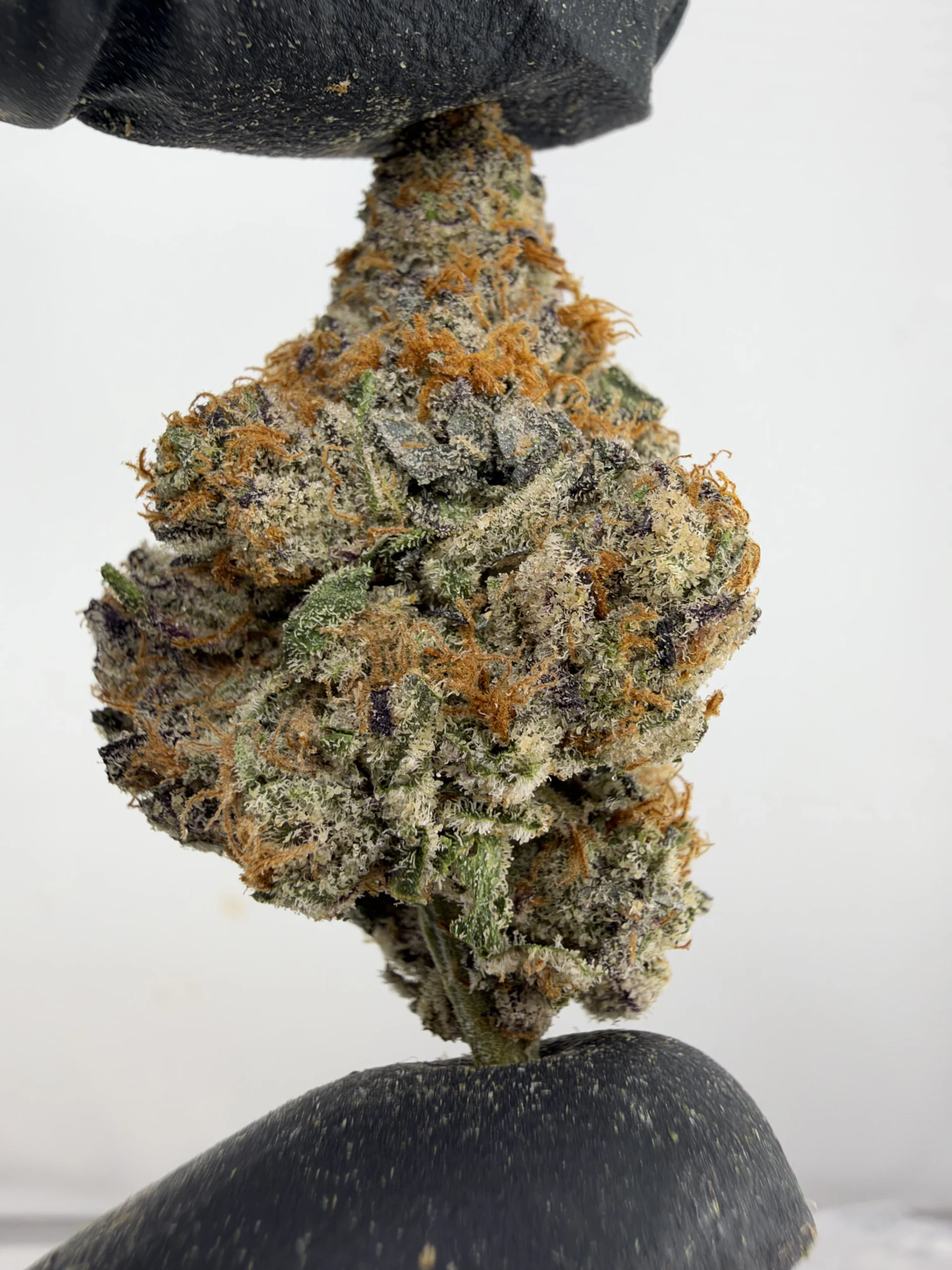 Gelonade 30.7% THCA
