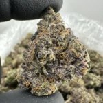 Knockout 31.4% THCA