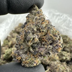 Knockout 31.4% THCA
