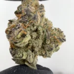 LCG x BX1 30.0% THCA