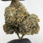 Pink Runtz 29.9% THCA