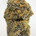 RS-11 31.1% THCA