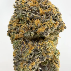 RS-11 31.1% THCA