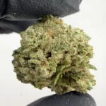 Toad Venom 31.4% THCA