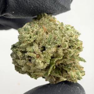 Toad Venom 31.4% THCA